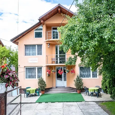 Pensiunea Larisa Guest house *