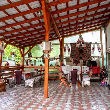 Pensiunea Larisa Guest house *